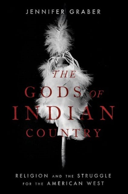 The Gods of Indian Country - Religion and the Struggle for the American West