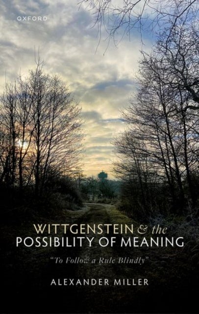 Wittgenstein and the Possibility of Meaning - "To Follow a Rule Blindly"