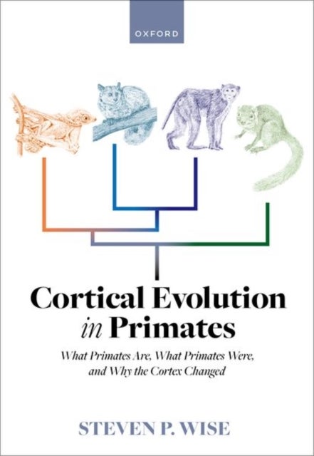 Cortical Evolution in Primates - What Primates Are, What Primates Were, and Why the Cortex Changed