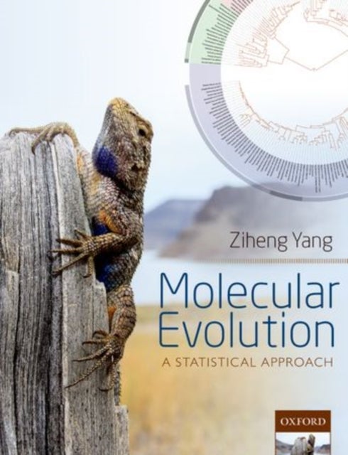 Molecular Evolution - A Statistical Approach