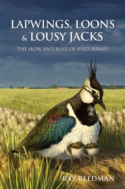 Lapwings, Loons and Lousy Jacks - The How and Why of Bird Names