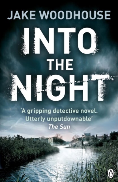 Into the Night - Inspector Rykel Book 2