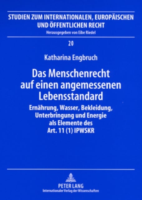 Das Menschenrecht Auf Einen Angemessenen Lebensstandard