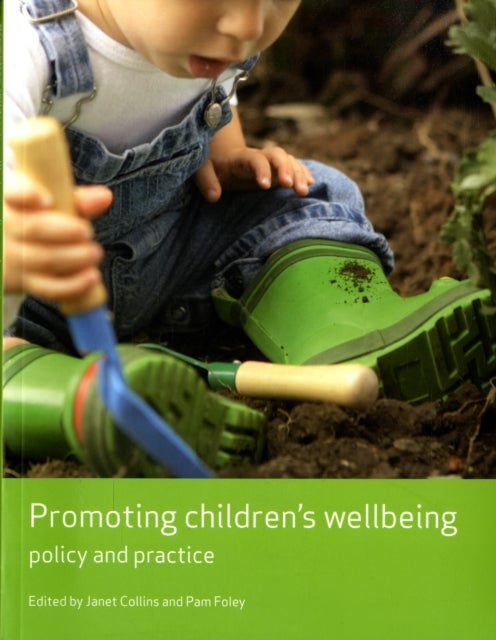 Promoting children's wellbeing - Policy and practice