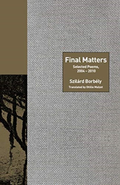 Final Matters - Selected Poems, 2004-2010