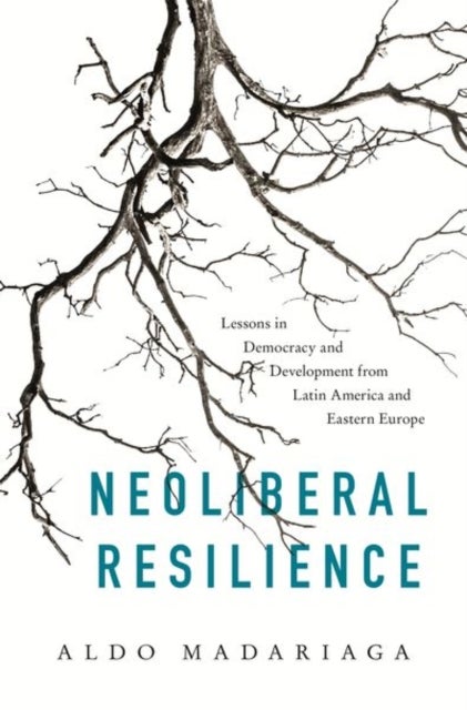 Neoliberal Resilience - Lessons in Democracy and Development from Latin America and Eastern Europe