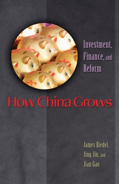 How China Grows - Investment, Finance, and Reform