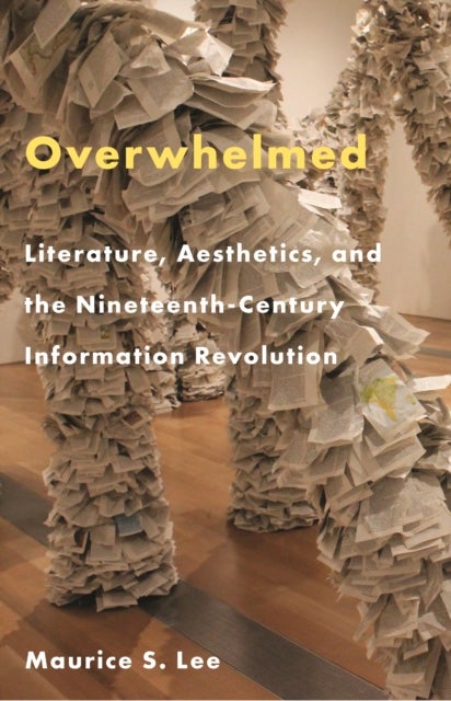 Overwhelmed - Literature, Aesthetics, and the Nineteenth-Century Information Revolution