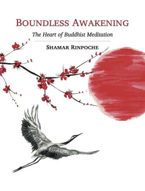 Boundless Awakening - The Heart of Buddhist Meditation