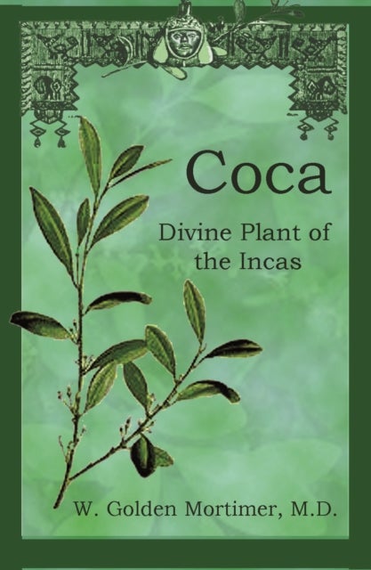 Coca - Divine Plant of the Incas
