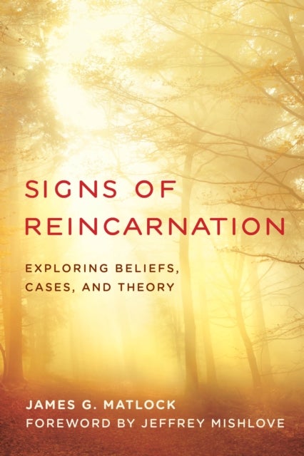 Signs of Reincarnation - Exploring Beliefs, Cases, and Theory