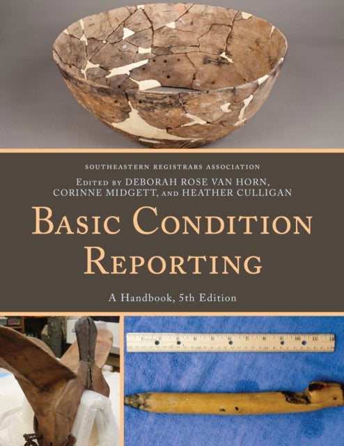 Basic Condition Reporting - A Handbook