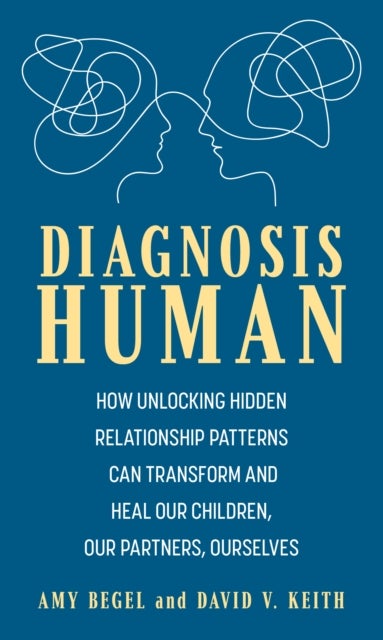 Diagnosis Human - How Unlocking Hidden Relationship Patterns Can Transform and Heal Our Children, Our Partners, Ourselves