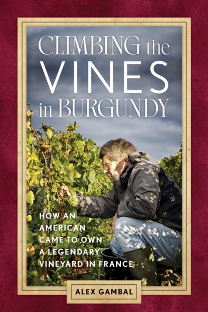 Climbing the Vines in Burgundy - How an American Came to Own a Legendary Vineyard in France