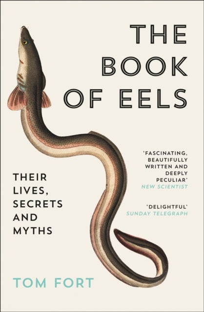 The Book of Eels - Their Lives, Secrets and Myths