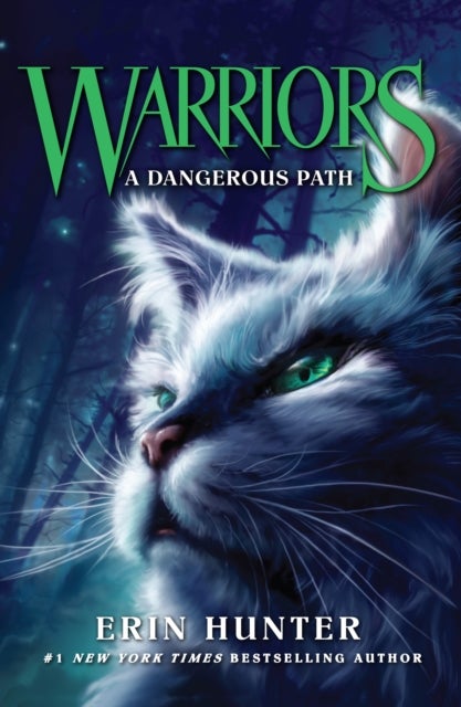 A Dangerous Path - Warrior cats
