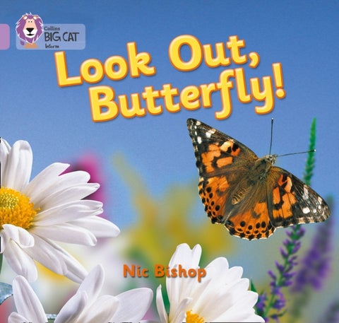 Look Out Butterfly! - Band 00/Lilac