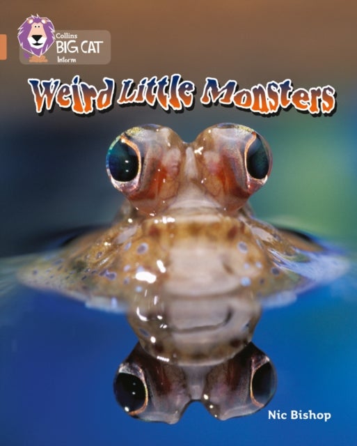 Weird Little Monsters - Band 12/Copper