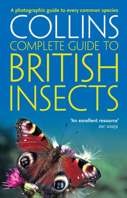 British Insects - A Photographic Guide to Every Common Species