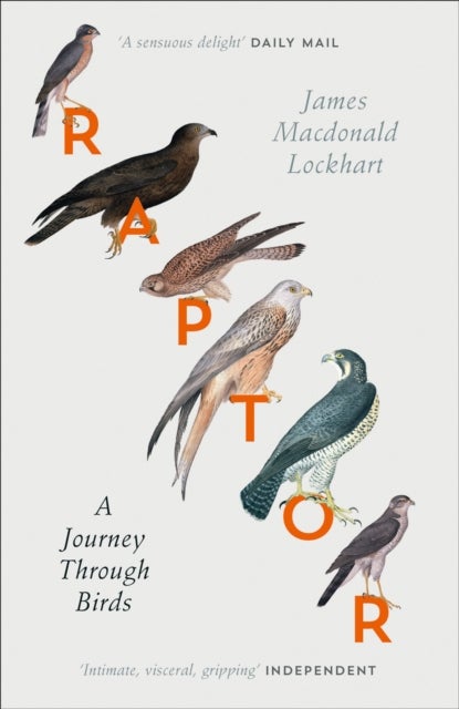 Raptor - A Journey Through Birds
