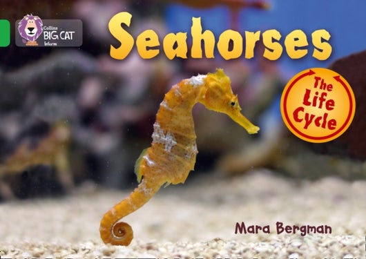 Seahorses - Band 05/Green
