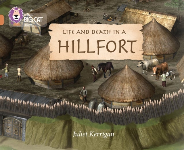 Life and Death in an Iron Age Hill Fort - Band 12/Copper