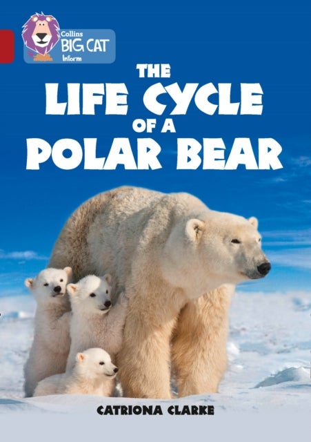 The Life Cycle of a Polar Bear - Band 14/Ruby