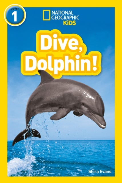 Dive, Dolphin! - Level 1