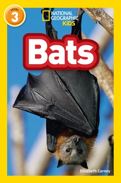 Bats - Level 3