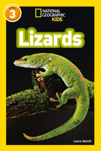 Lizards - Level 3