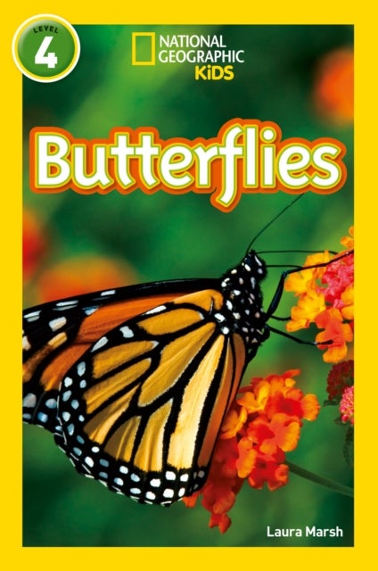 Butterflies - Level 4