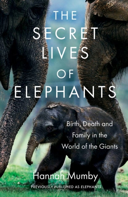 The Secret Lives of Elephants - Birth, Death and Family in the World of the Giants
