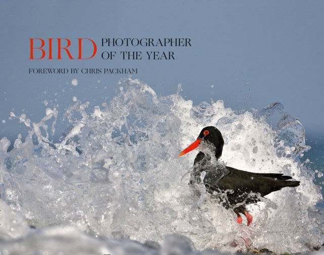 Bird Photographer of the Year - Collection 5