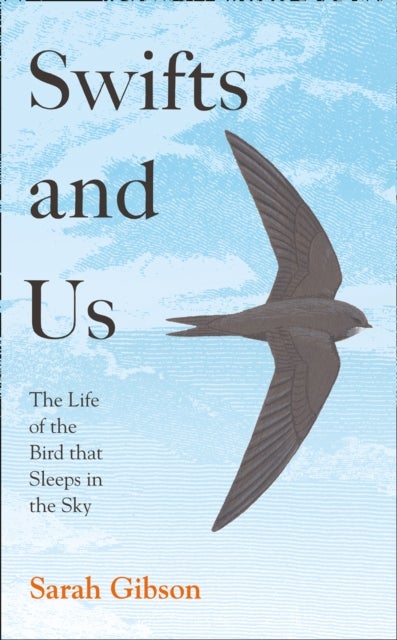 Swifts and Us - The Life of the Bird That Sleeps in the Sky