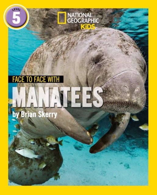 Face to Face with Manatees - Level 5