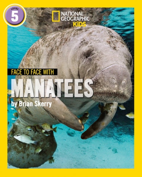 Face to Face with Manatees - Level 5