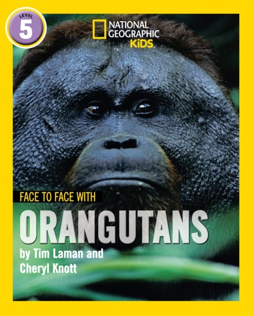 Face to Face with Orangutans - Level 5