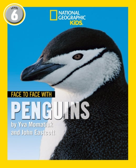 Face to Face with Penguins - Level 6