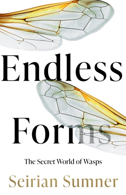 Endless Forms - The Secret World of Wasps