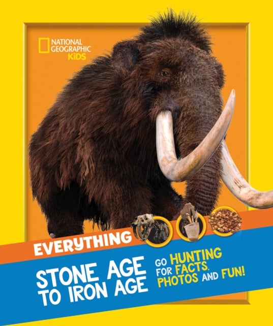 Everything: Stone Age to Iron Age - Go Hunting for Facts, Photos and Fun!