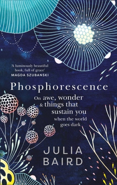 Phosphorescence - On Awe, Wonder & Things That Sustain You When the