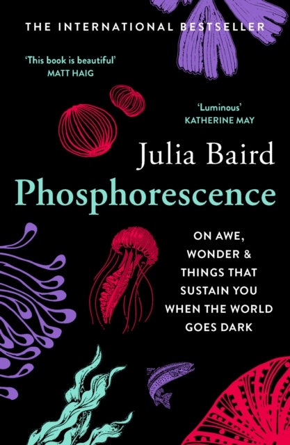Phosphorescence - On Awe, Wonder & Things That Sustain You When the World Goes Dark