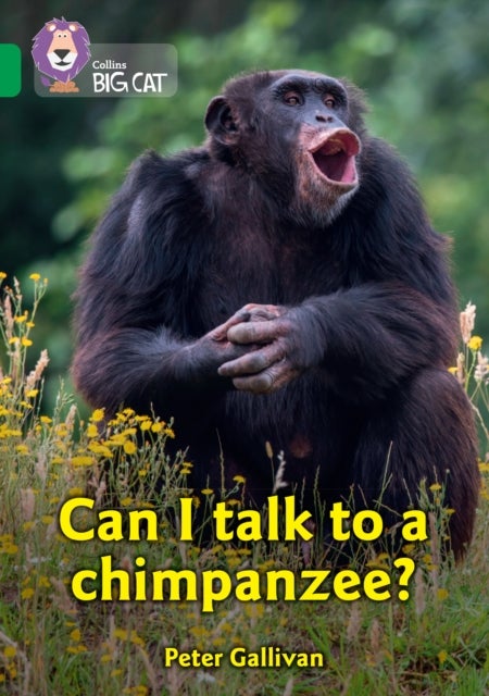 Can I talk to a chimpanzee? - Band 15/Emerald