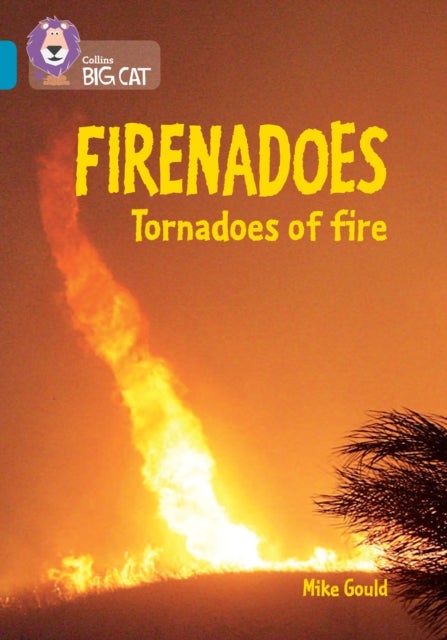 Firenadoes: Tornadoes of fire - Band 13/Topaz