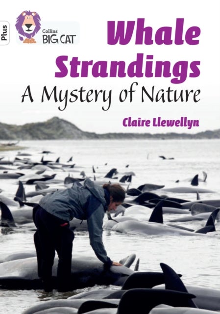 Whale Strandings: A Mystery of Nature - Band 10+/White Plus