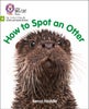 How to Spot an Otter