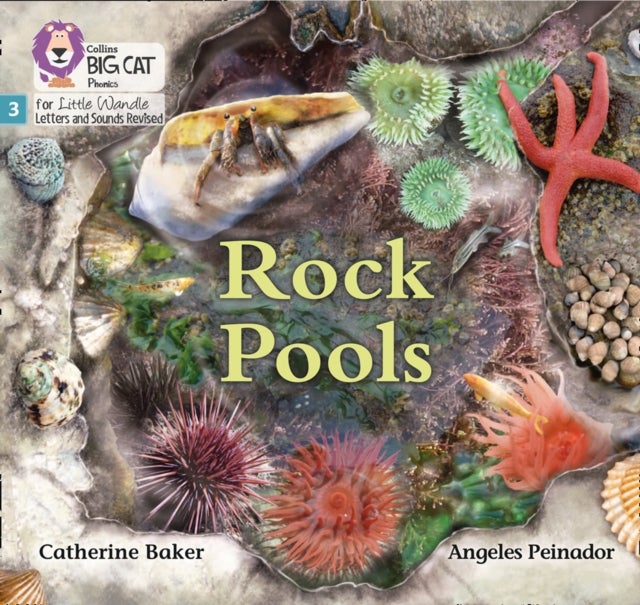 Rock Pools - Phase 3 Set 1