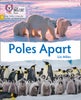 Poles Apart