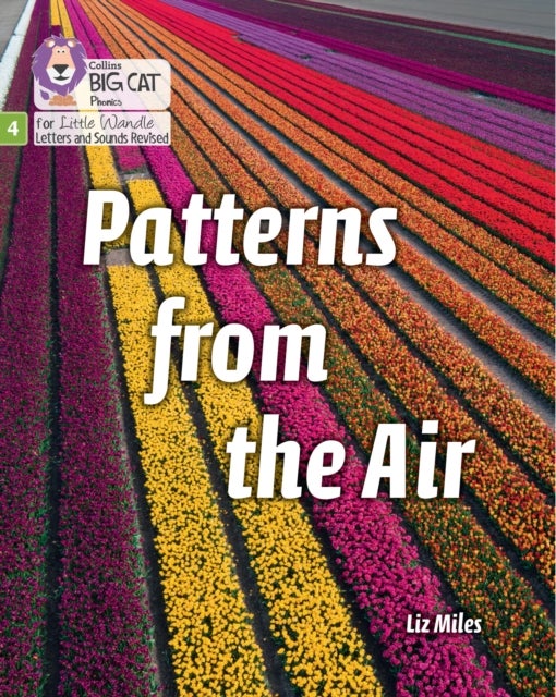 Patterns from the Air - Phase 4 Set 2 Stretch and Challenge