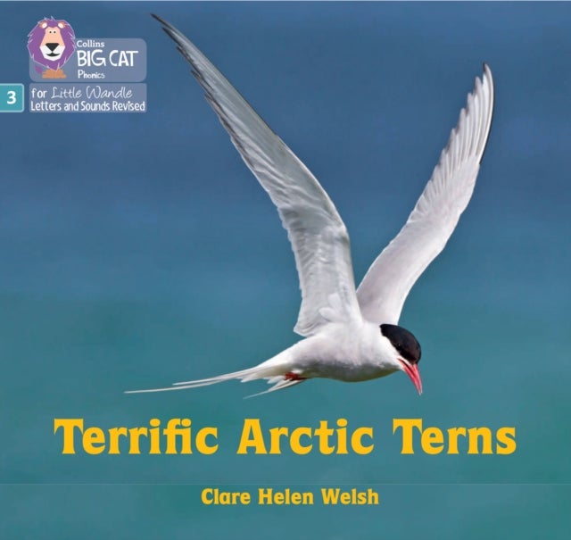 Terrific Arctic Terns - Phase 3 Set 2